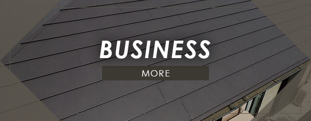 sp_banner_business